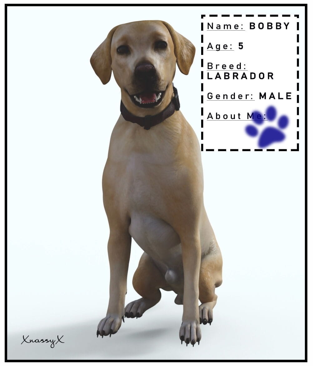 xnassyx doggy porta page 1